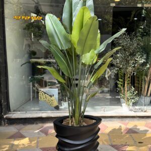 درختچه مصنوعی پرنده بهشتی 19