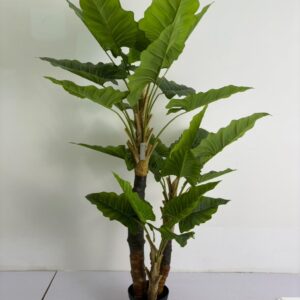 بابا آدم سه تنه فابریک