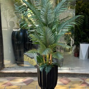 کنتیا پروانه