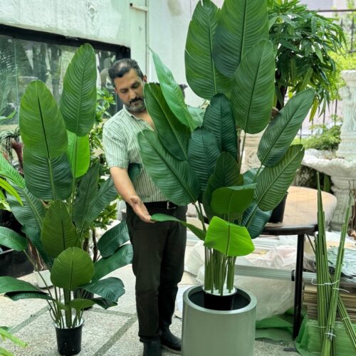 درختچه مصنوعی پرنده بهشتی