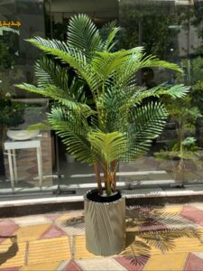 درختچه مصنوعی کنتیا