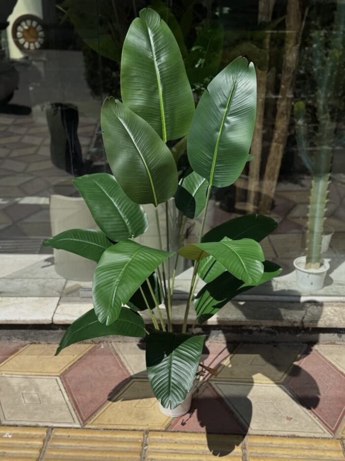 پرنده بهشتی