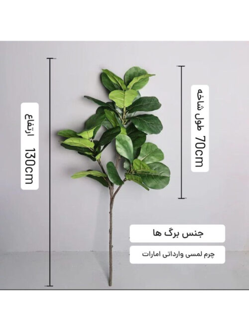درختچه لیراتا