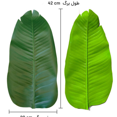 برگ نیکولای