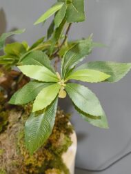 بنسای مصنوعی