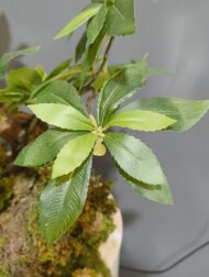 بنسای مصنوعی
