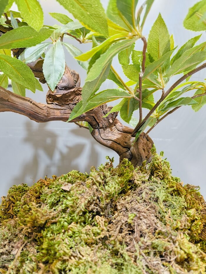 بنسای مصنوعی