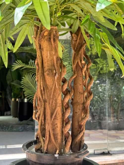 درختچه آمستل