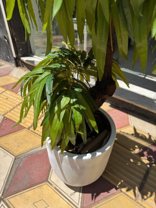 درختچه مصنوعی امستل