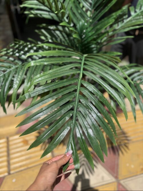 درختچه مصنوعی کنتیا