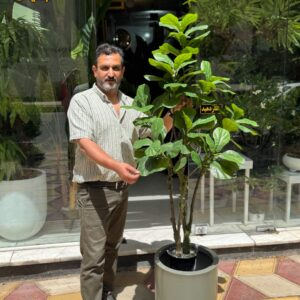 درختچه مصنوعی لیراتا