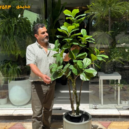 درختچه مصنوعی لیراتا