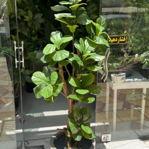 درختچه مصنوعی لیراتا