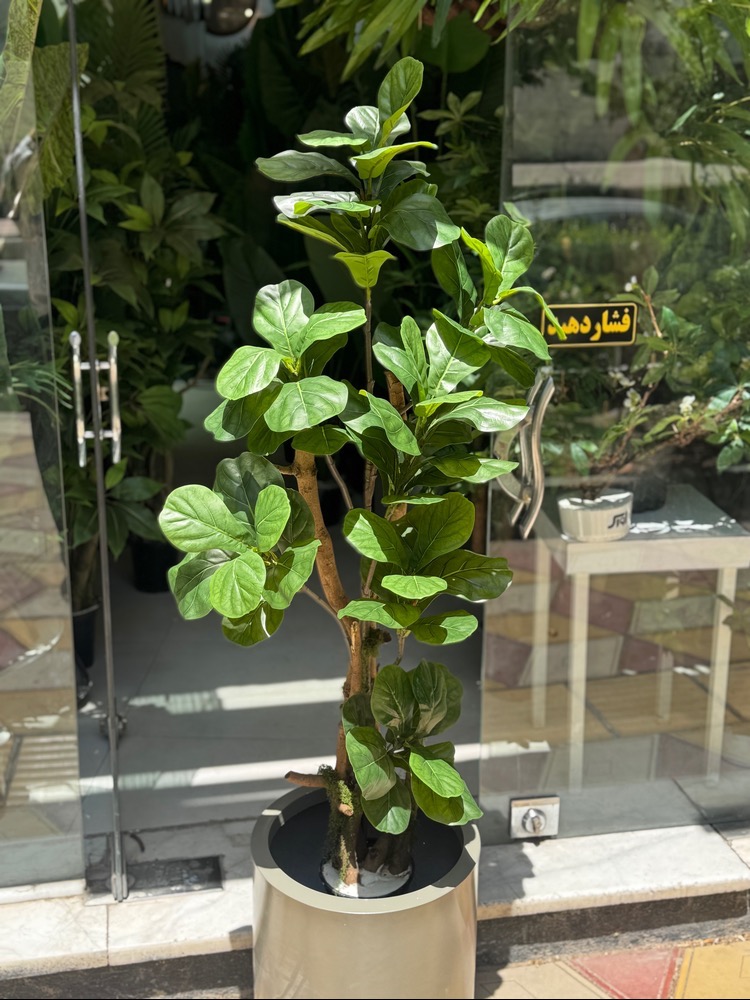 درختچه مصنوعی لیراتا