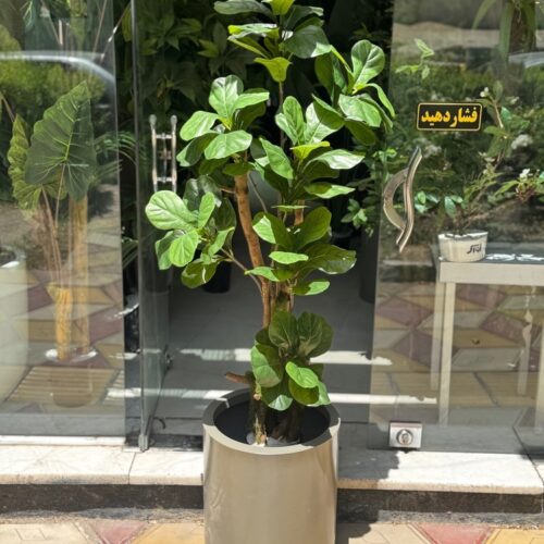 درختچه مصنوعی لیراتا