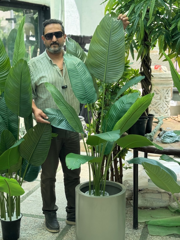 درختچه مصنوعی نیکولای