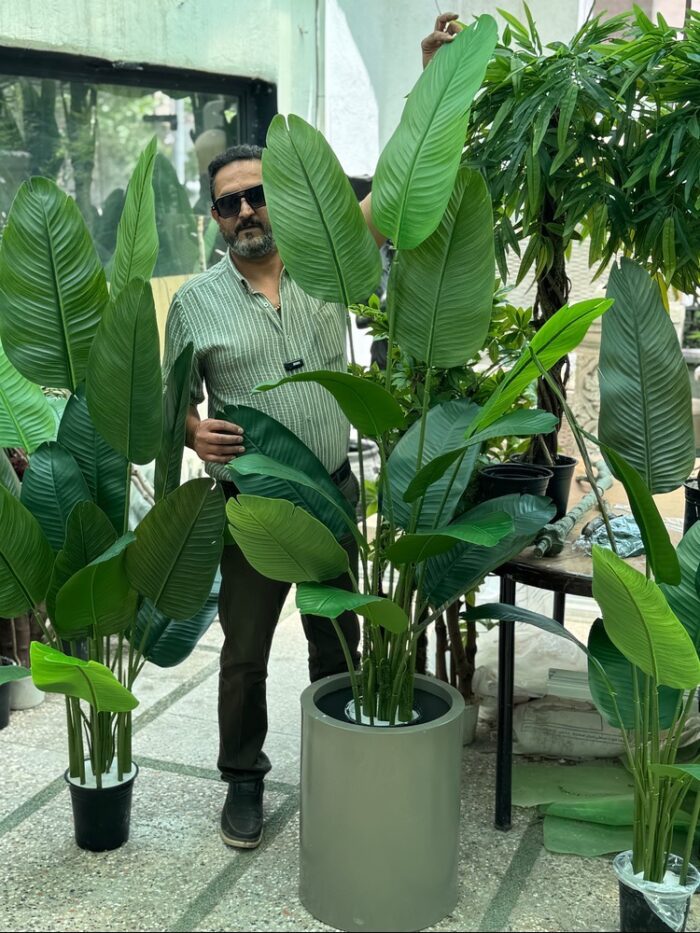 درختچه مصنوعی نیکولای