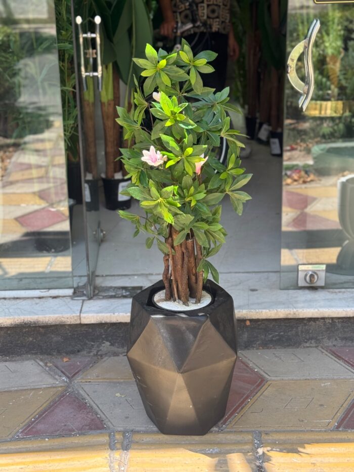 بنسای
