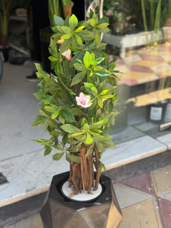 بنسای