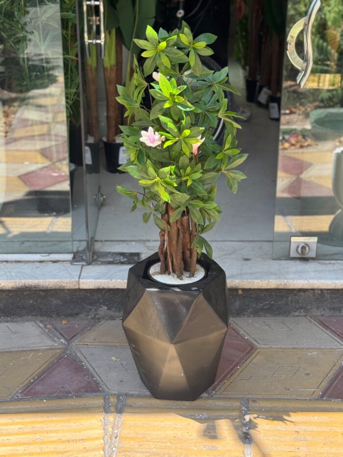 بنسای