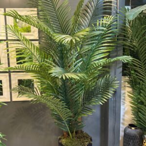 درختچه مصنوعی کنتیا