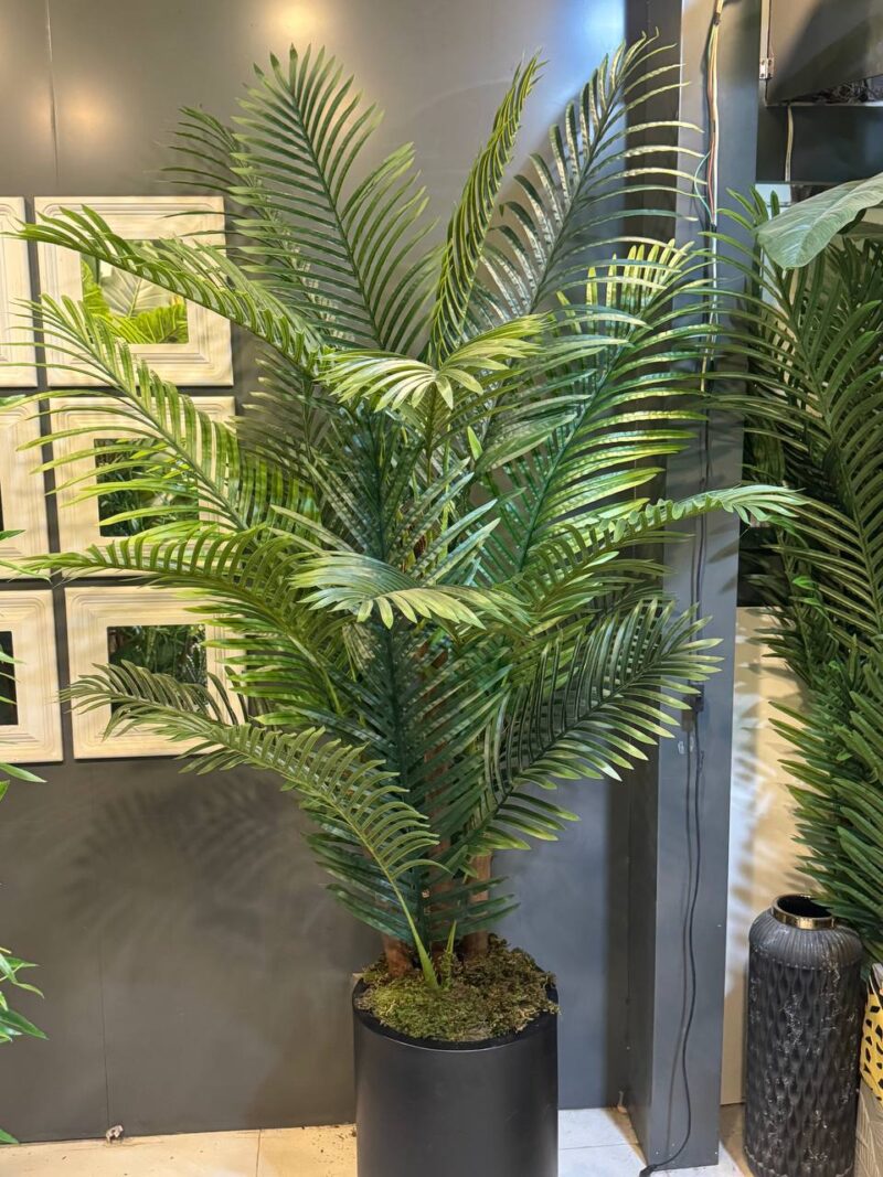 درختچه مصنوعی کنتیا