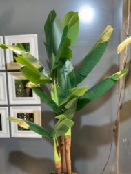 درختچه مصنوعی موز