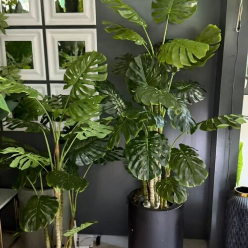 گل برگ انجیری مصنوعی 170 سانتی متر