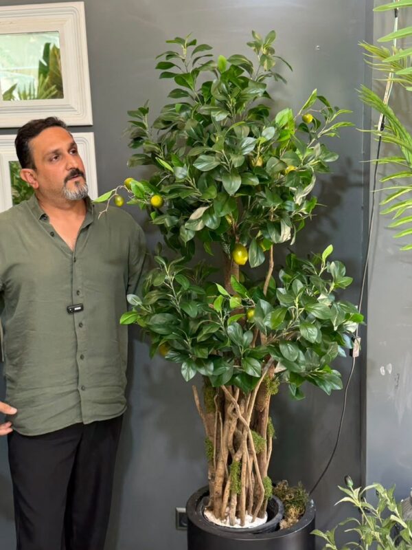 درختچه مصنوعی لیمو