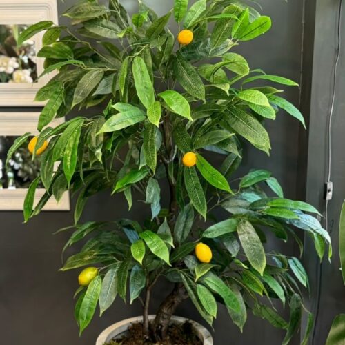 درختچه مصنوعی انبه پائوپائو 160 سانتی