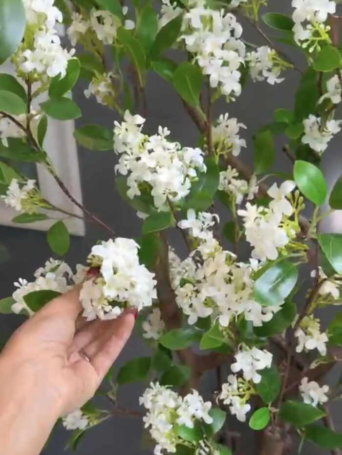 درختچه مصنوعی یاس هلندی ارتفاع ۱۶۵ سانتی متر