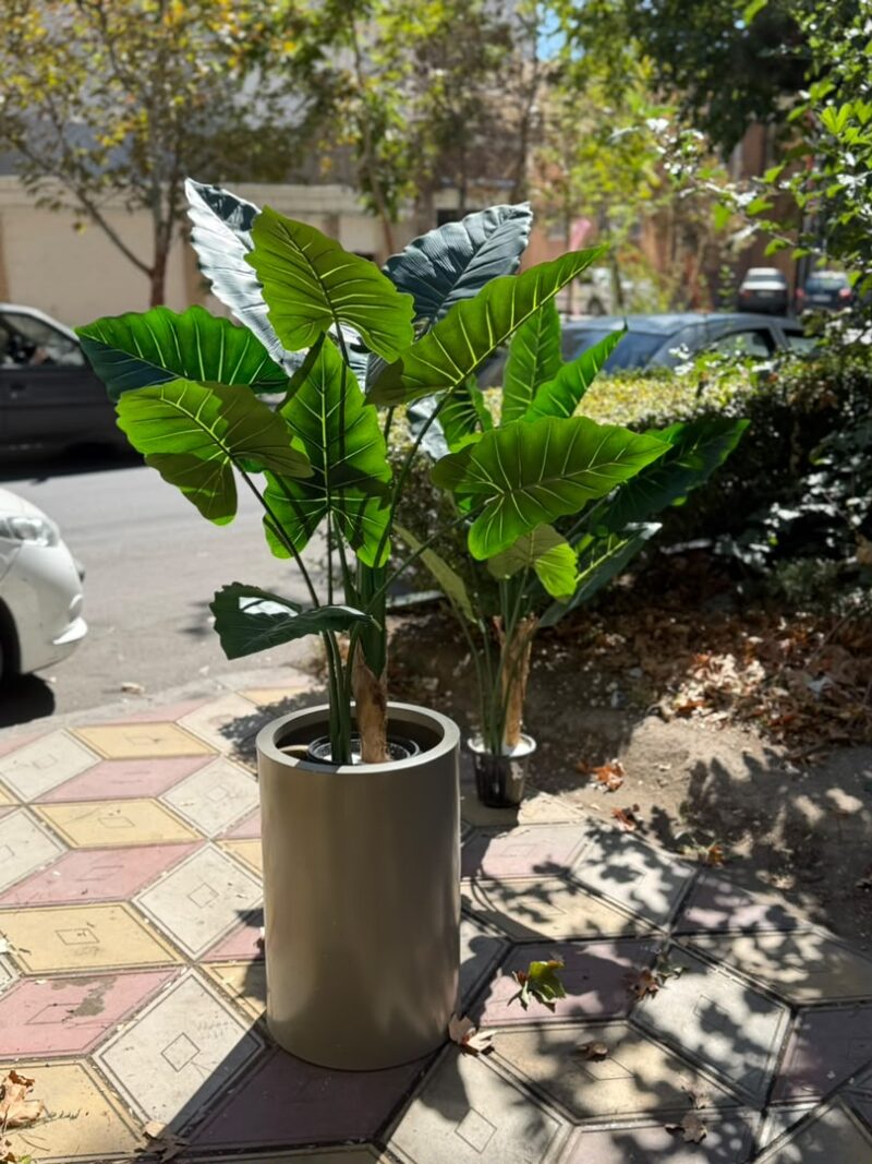 درختچه مصنوعی بابا آدم
