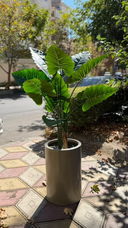 درختچه مصنوعی بابا آدم