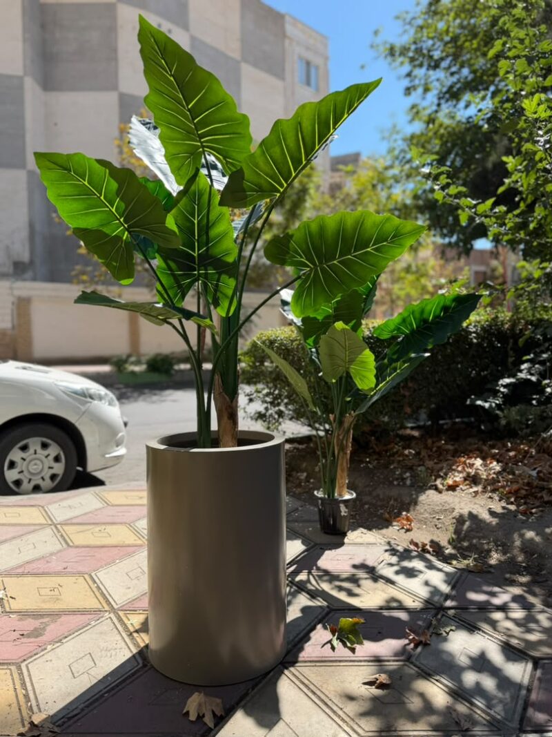 درختچه مصنوعی بابا آدم