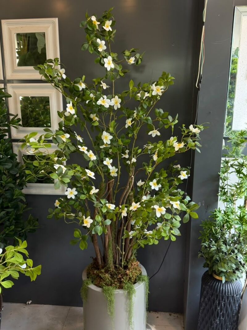 gardeniya-tree درختچه مصنوعی گاردنیا