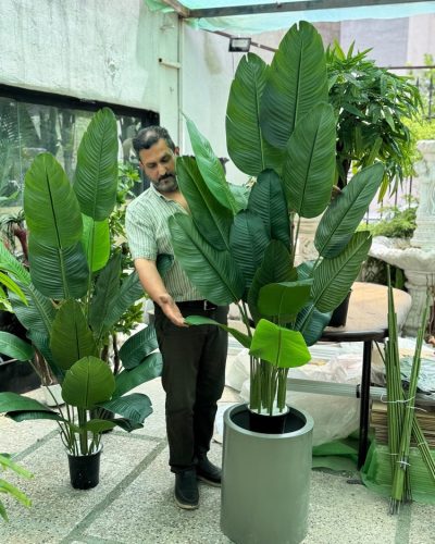 درختچه مصنوعی پرنده بهشتی