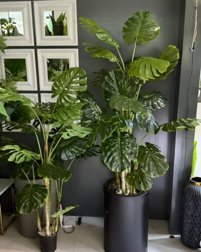 گل برگ انجیری مصنوعی 170 سانتی متر