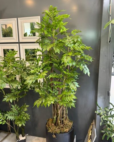 درختچه مصنوعی اقاقیا