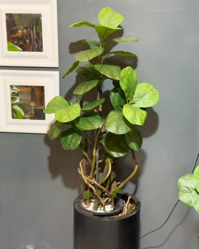 lirat130cm-01