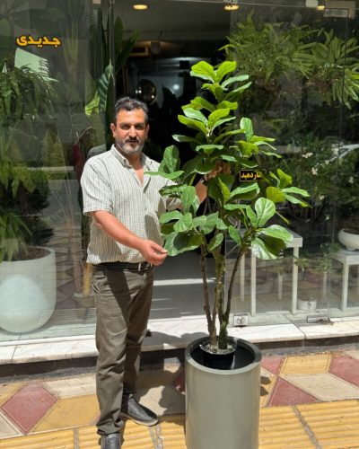 درختچه مصنوعی لیراتا